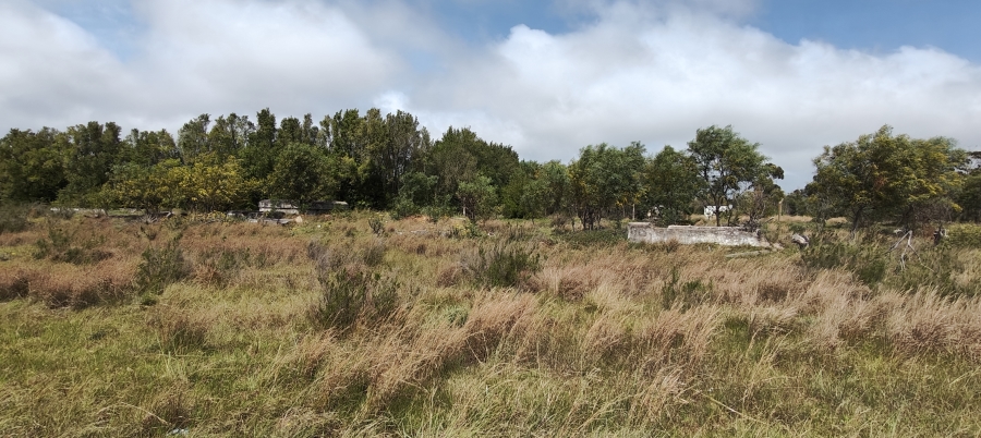 0 Bedroom Property for Sale in Greenbushes Eastern Cape